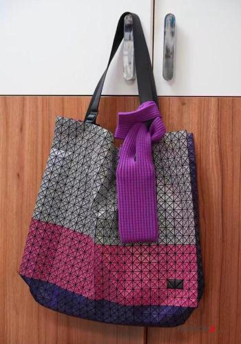 Casual Handbag - ph 3