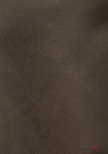 P63250011451C2