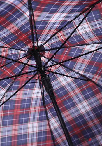 Tartan Umbrella - ph 6
