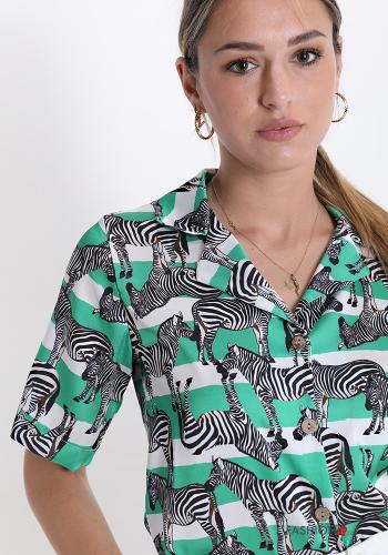 Camicia Fantasia mista - ph 4