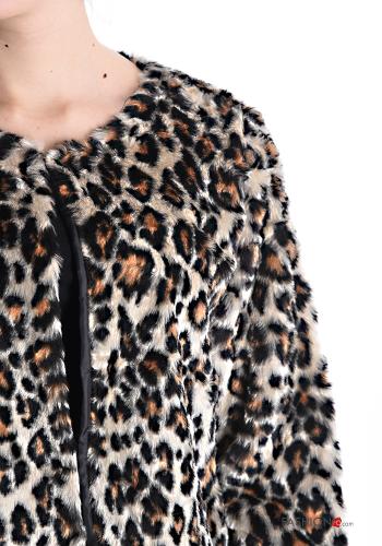 Chaqueta Estampado animal con forro - ph 4